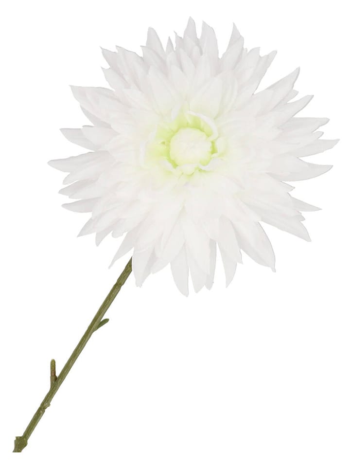 daan kromhout Sztuczny kwiat "Dahlia" w kolorze biało-zielonym - wys. 65 cm rozmiar: onesize