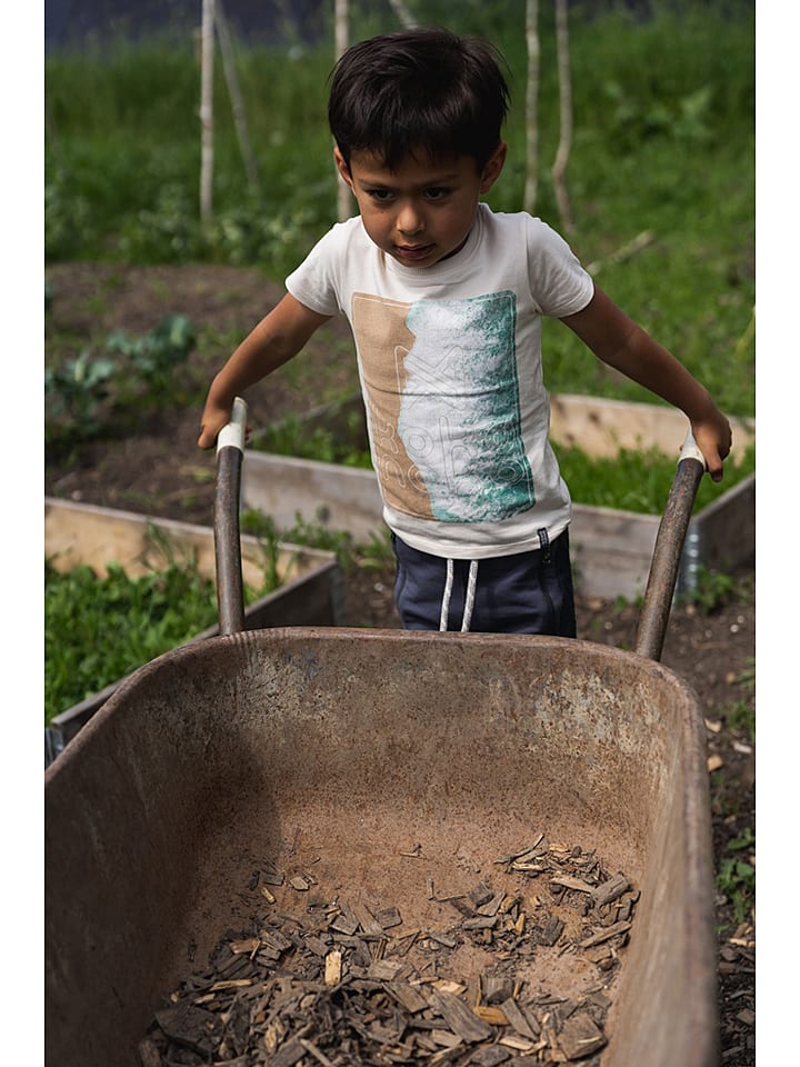 Koko Noko Koszulka w kolorze beżowym rozmiar: 104