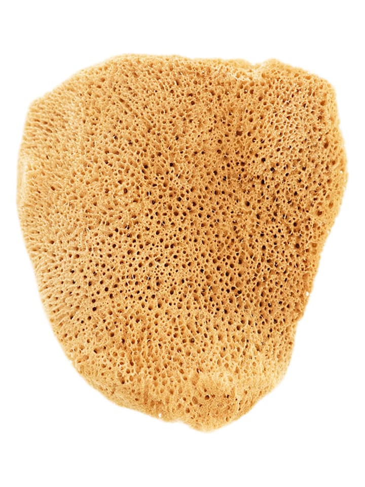 Lullalove Gąbka naturalna w kolorze żółtym rozmiar: onesize