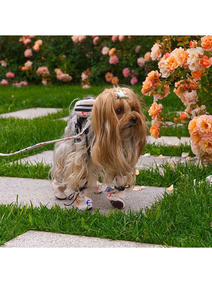 Paws&Whiskers Buty w kolorze beżowym dla psa rozmiar: L/XL