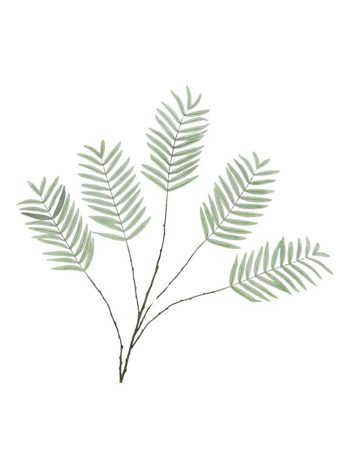 daan kromhout Dekoracyjna gałązka "Palm Leaf" w kolorze zielono-brązowym - wys. 125 cm rozmiar: onesize