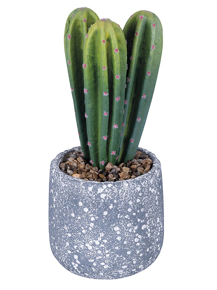 Villa d´Este Sztuczny kwiat "Cactus" w kolorze zielono-szarym - 29,5 cm rozmiar: onesize