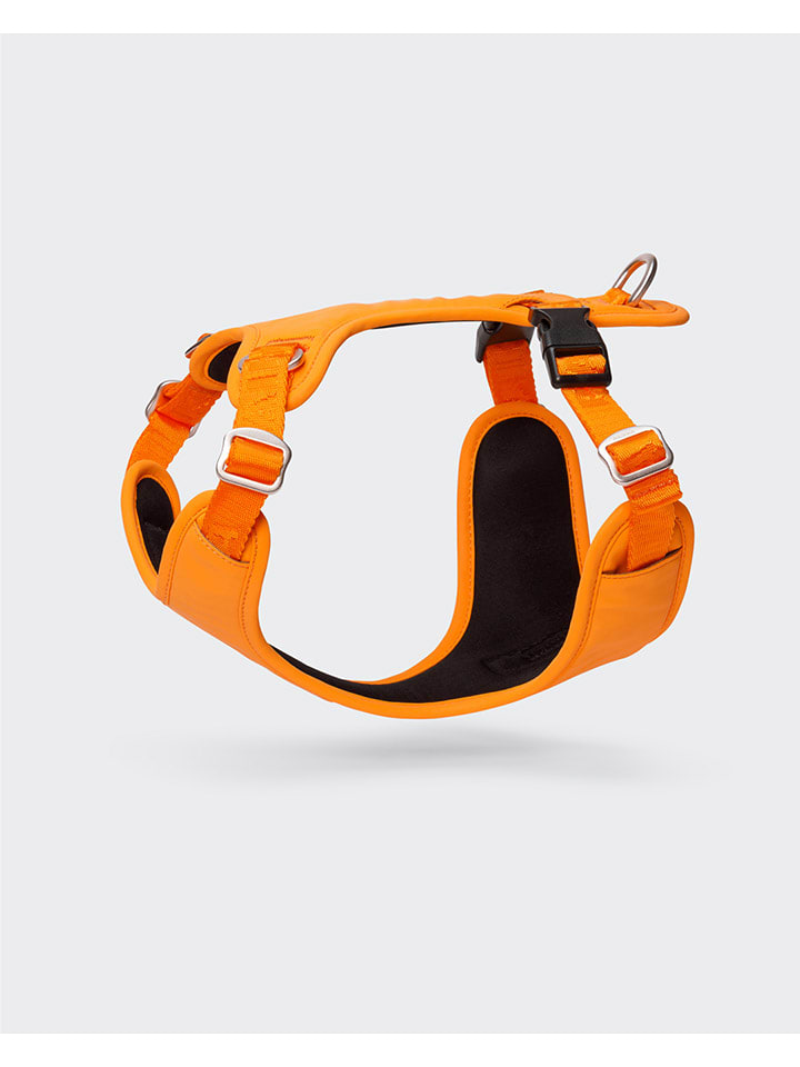 Paikka Szelki w kolorze pomarańczowym dla psa rozmiar: S