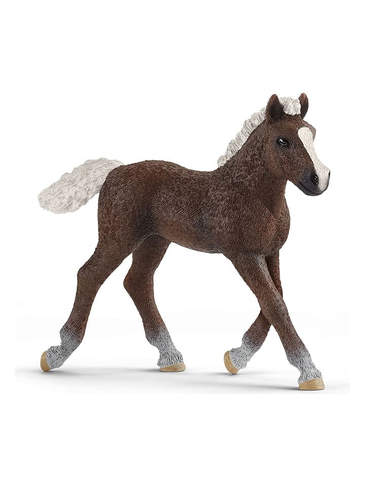 Schleich Figurka "Black Forest foal" do zabawy - 3+ rozmiar: onesize