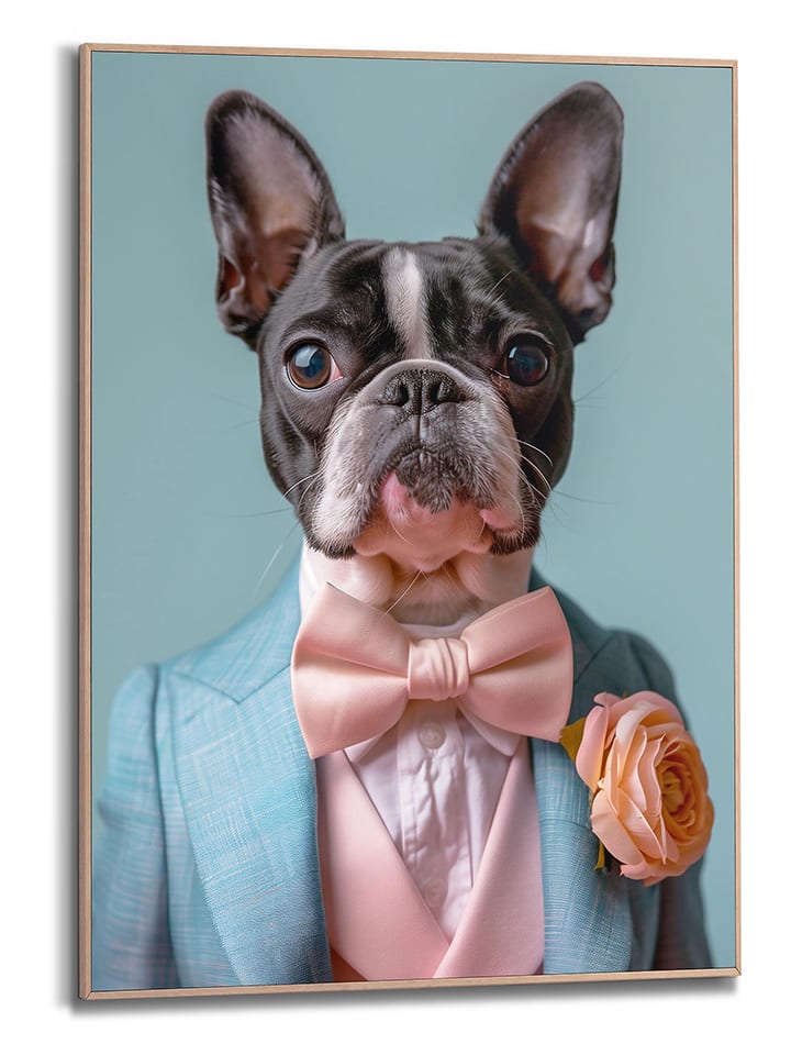 Orangewallz Druk artystyczny "Dressed Boston Terrier" w ramce rozmiar: 40x50 cm