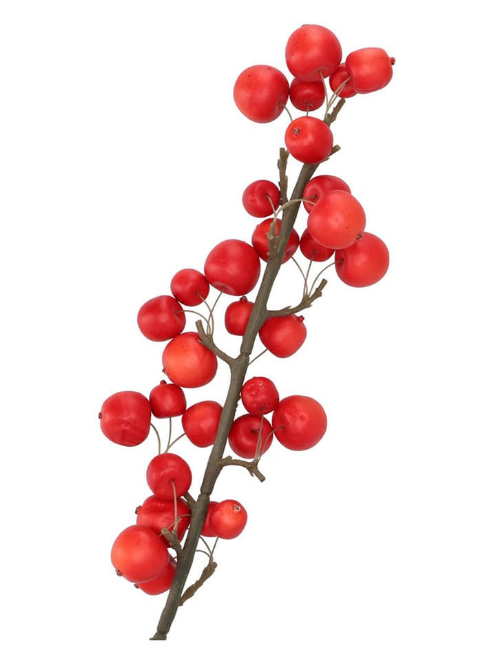 daan kromhout Dekoracyjna gałązka "Apple Sentinel" w kolorze czerwonym - wys. 66 cm rozmiar: onesize