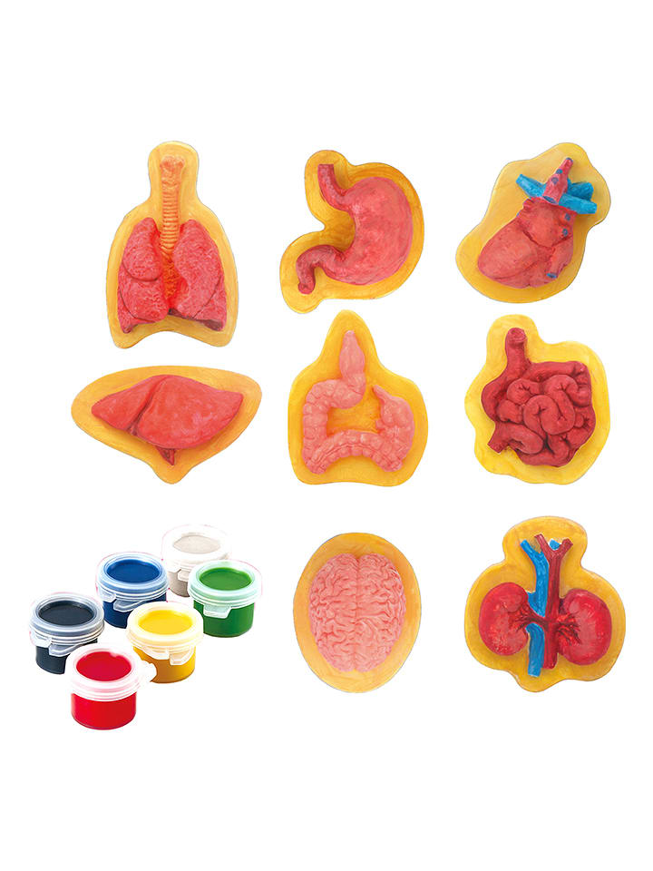 Explora Zestaw do malowania - 4+ rozmiar: onesize