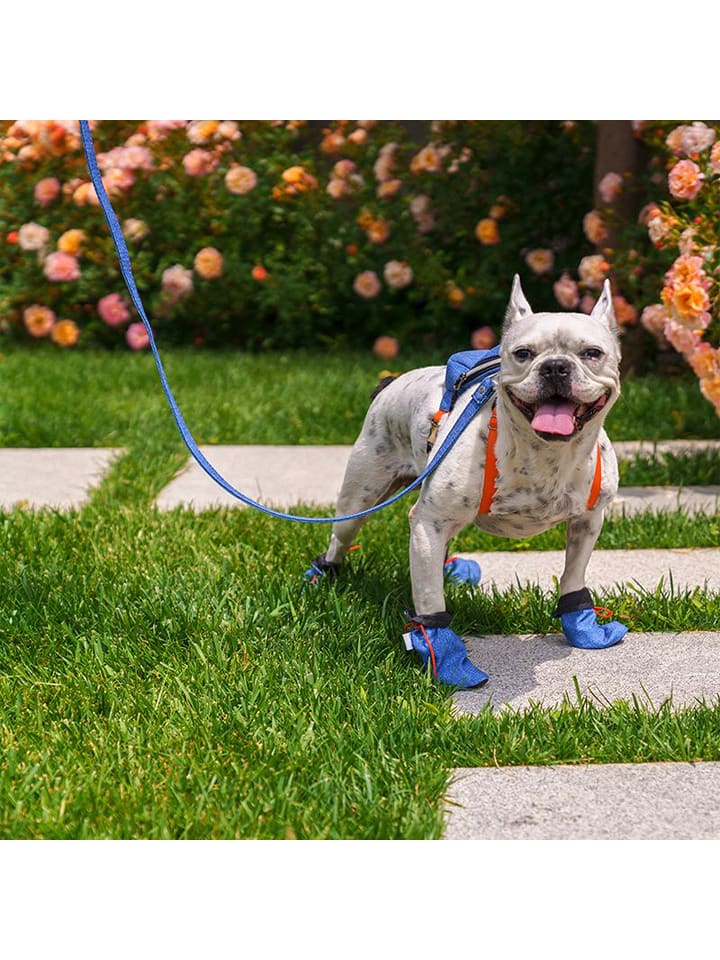 Paws&Whiskers Buty w kolorze niebieskim dla psa rozmiar: L/XL