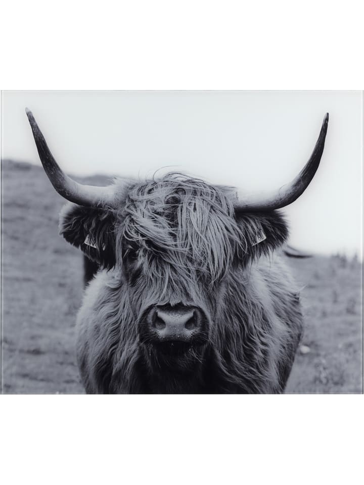 Wenko Osłona "Highland Cattle" w kolorze szarym na ścianę - 60 x 50 cm rozmiar: onesize