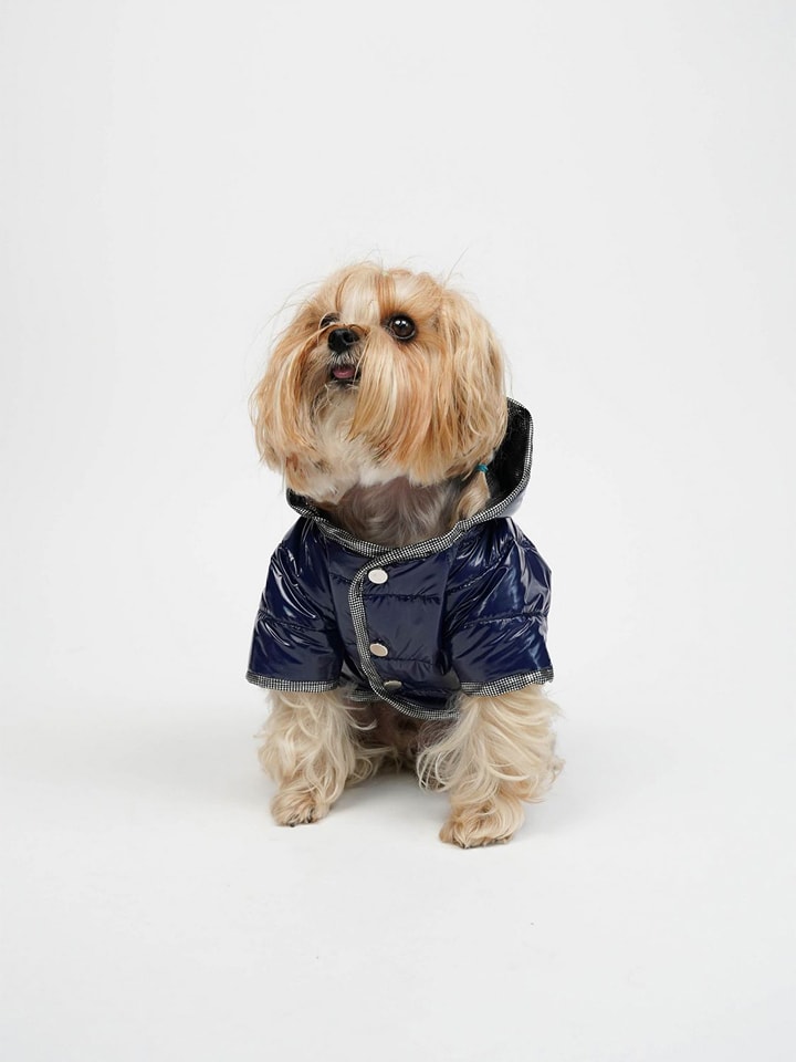 Paws&Whiskers Bluza w kolorze granatowym dla psa rozmiar: M