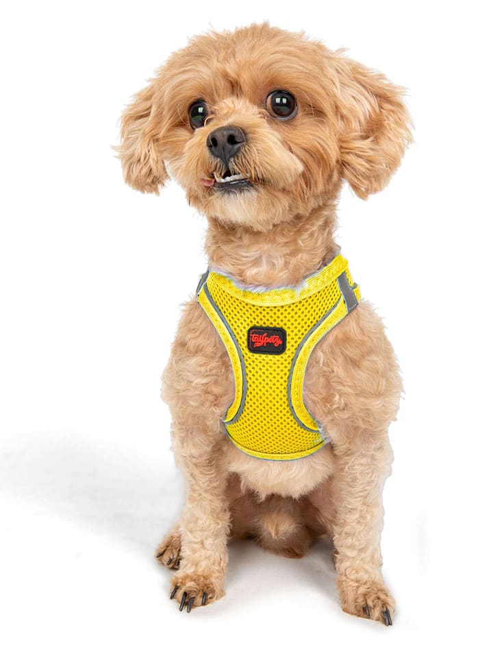 Paws&Whiskers Szelki w kolorze żółtym dla psa rozmiar: 3XS