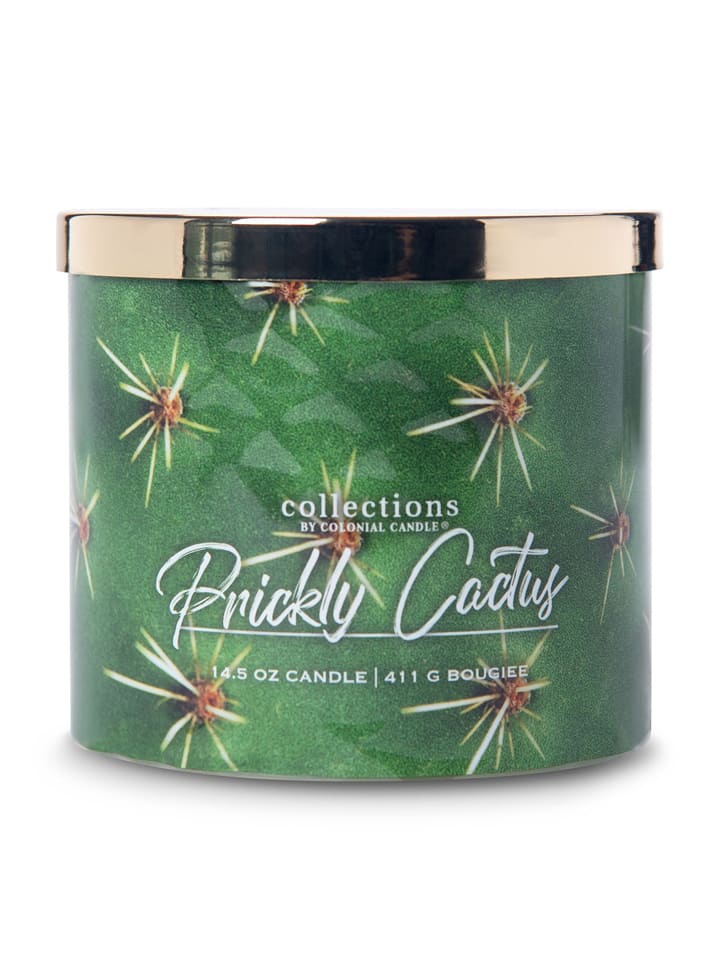 Colonial Candle Świeca zapachowa "Desert Prickly Cactus" - 411 g rozmiar: onesize