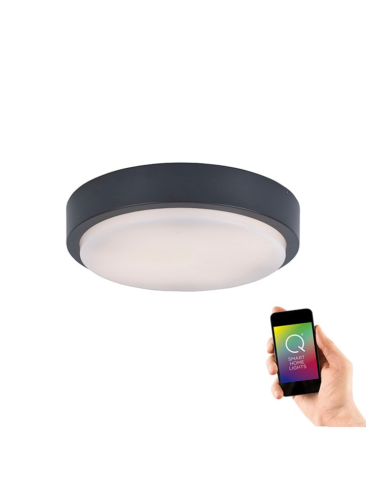 Just Light Lampa sufitowa LED "Q-Lenny" w kolorze czarnym - wys. 7,5 x Ø 36,4 cm rozmiar: onesize