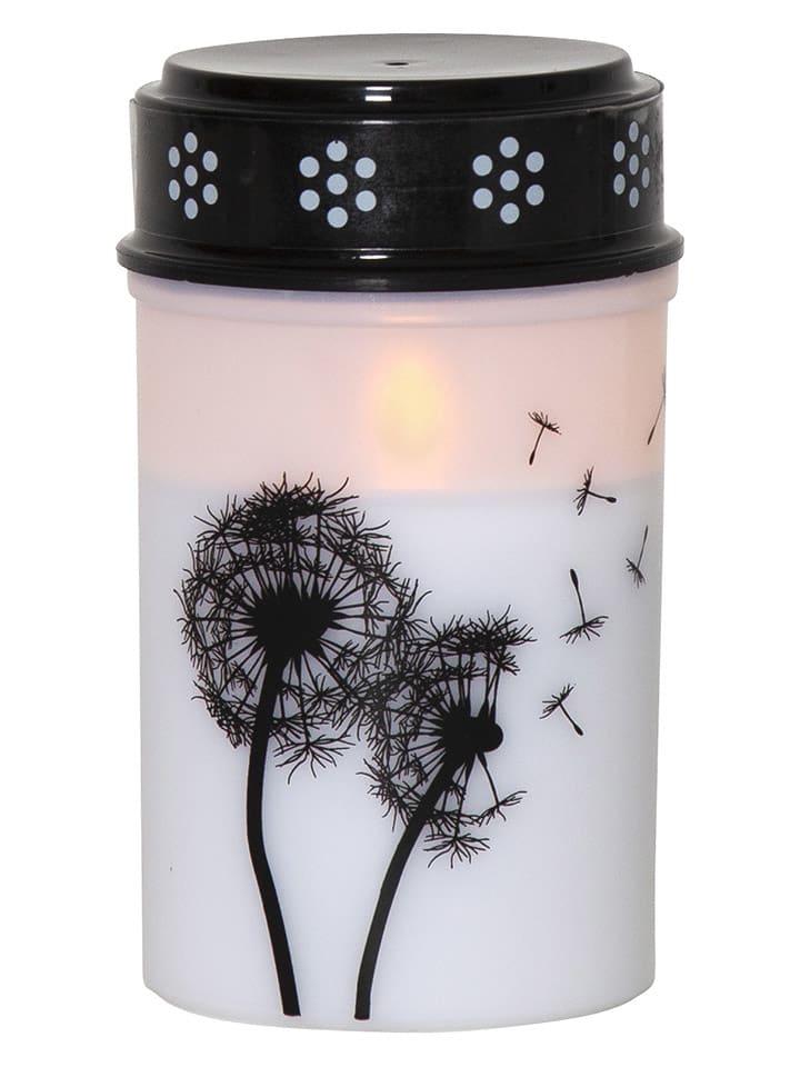 STAR Trading Znicz LED "Dandelion" w kolorze białym rozmiar: onesize