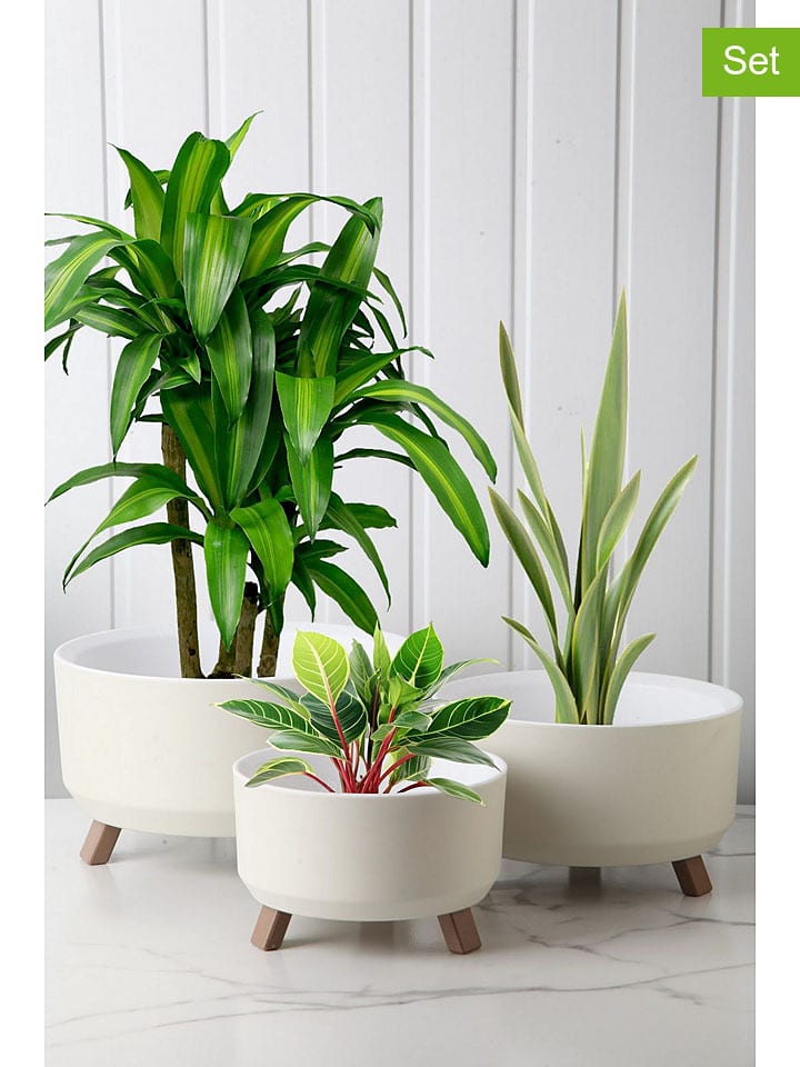 Scandinavia Concept Doniczki (3 szt.) w kolorze białym rozmiar: onesize