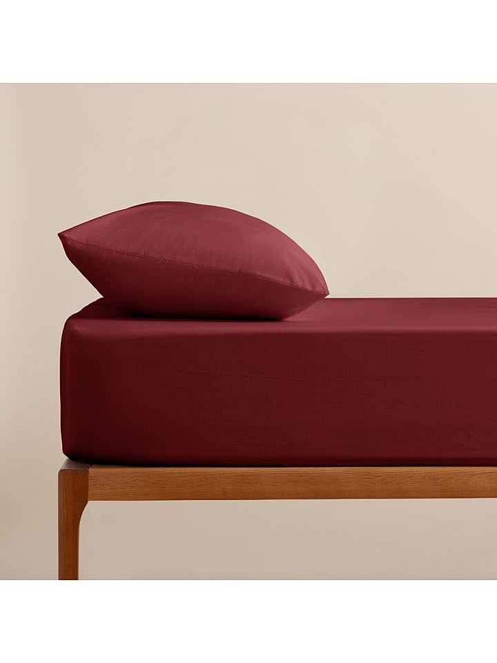 Pierre Cardin Perkalowe prześcieradło w kolorze fioletowym na gumce rozmiar: 140x200 cm