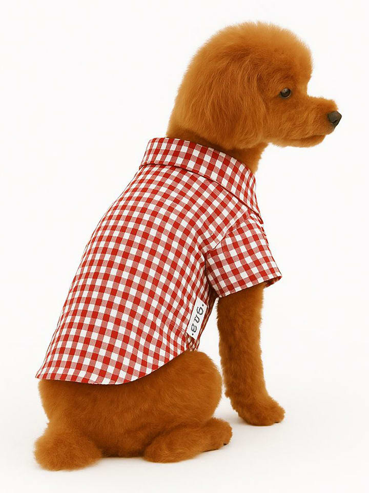 Paws&Whiskers Bluza w kolorze brązowym dla psa rozmiar: L