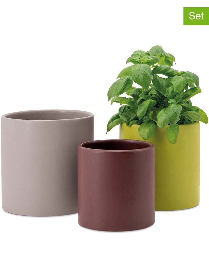 Remember Doniczki (3 szt.) "Siena" w różnych kolorach rozmiar: onesize