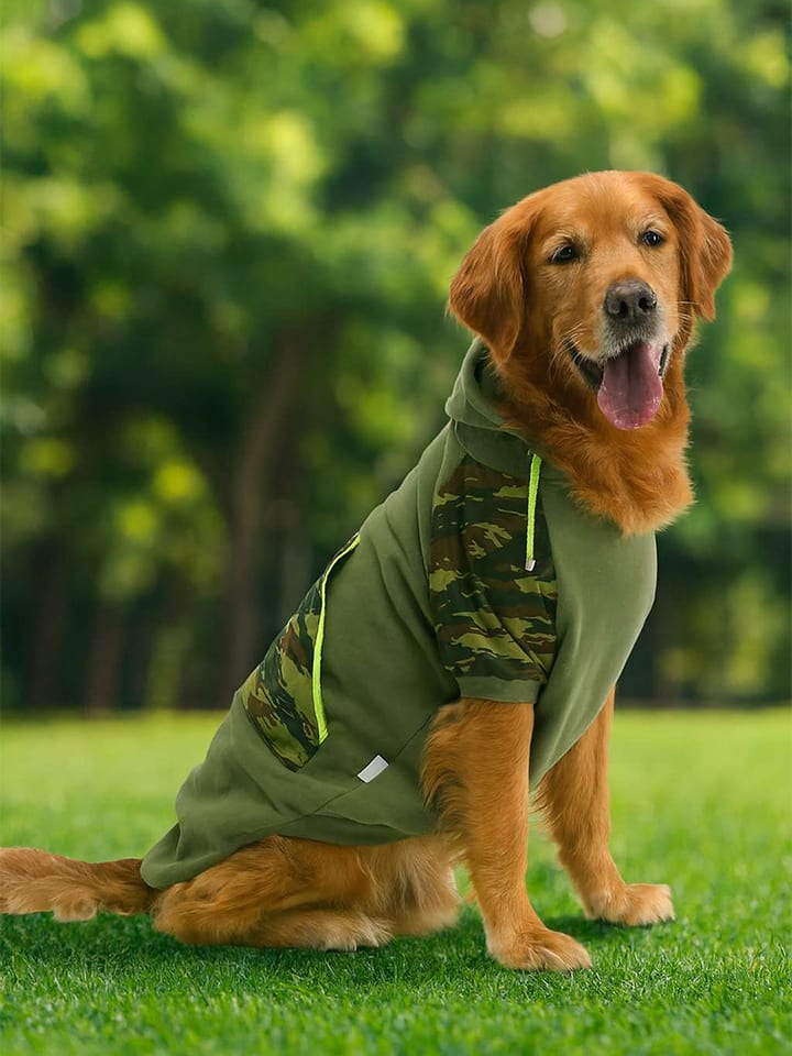 Paws&Whiskers Bluza w kolorze khaki dla psa rozmiar: 6XL