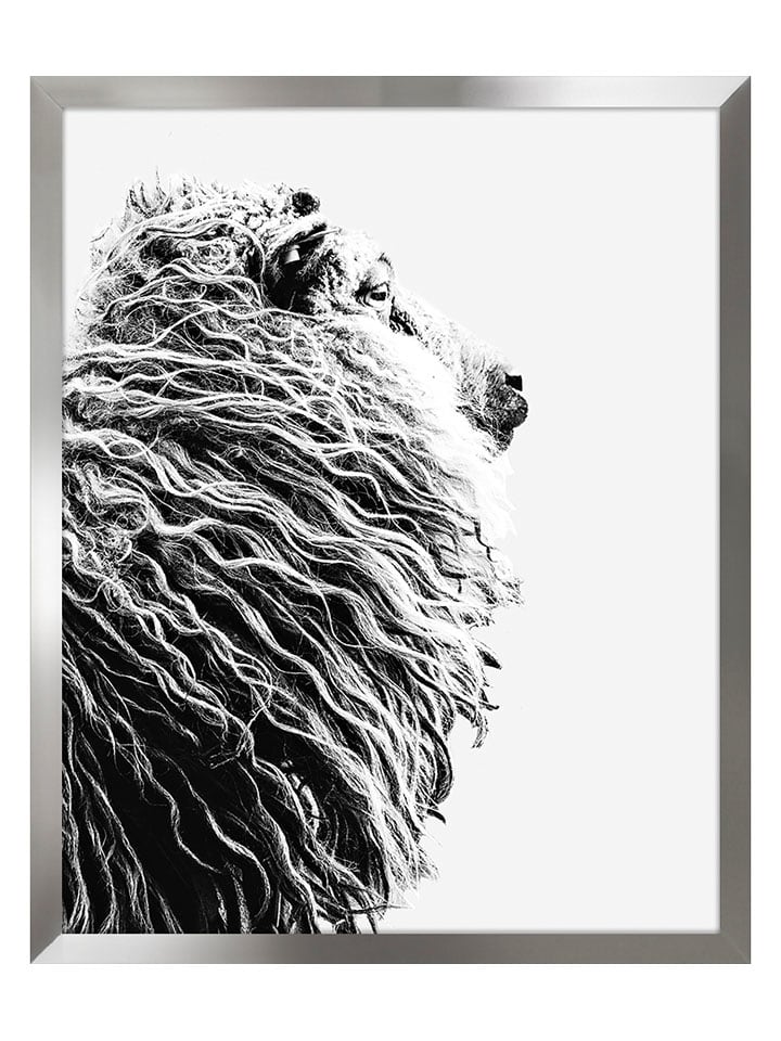 Ars Longa Druk artystyczny "Sheep I" w ramce - 70 x 50 cm rozmiar: onesize