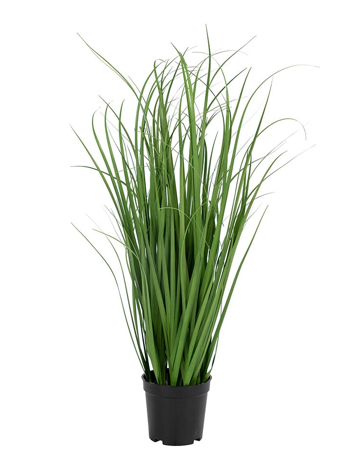 House Nordic Sztuczna trawa Poa - wys. 68 cm rozmiar: onesize