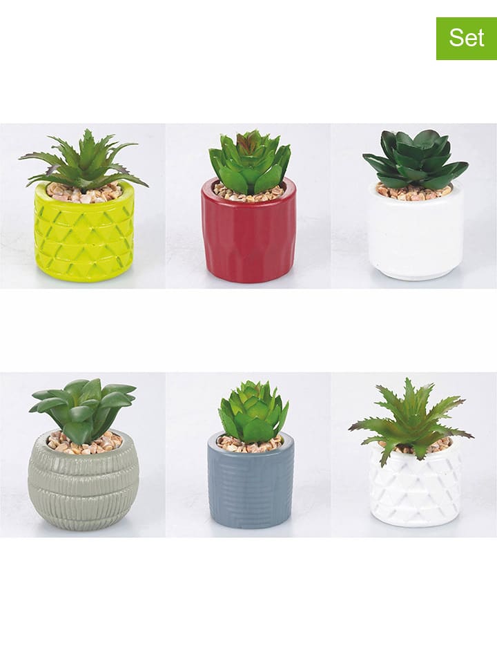 Villa d´Este Sztuczne rośliny (6 szt.) w różnych kolorach - wys. 8 x Ø 5,8 cm rozmiar: onesize