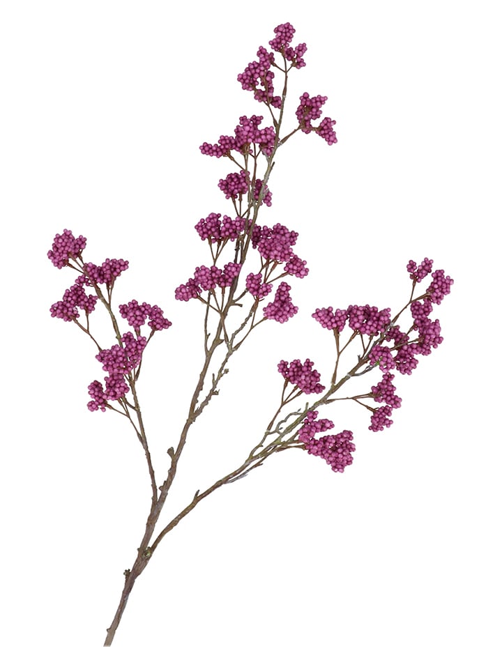 daan kromhout Dekoracyjna gałązka "Berry Spice" w kolorze fioletowo-brązowym - wys. 108 cm rozmiar: onesize