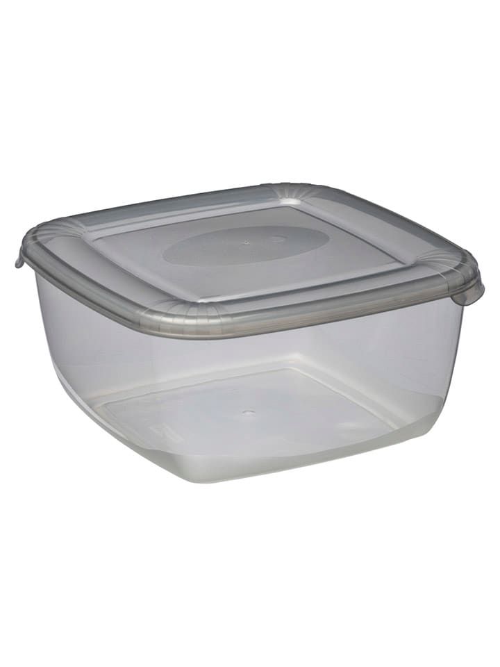 Plast Team Pojemnik w kolorze szarym - 17 x 8,3 x 17 cm rozmiar: onesize