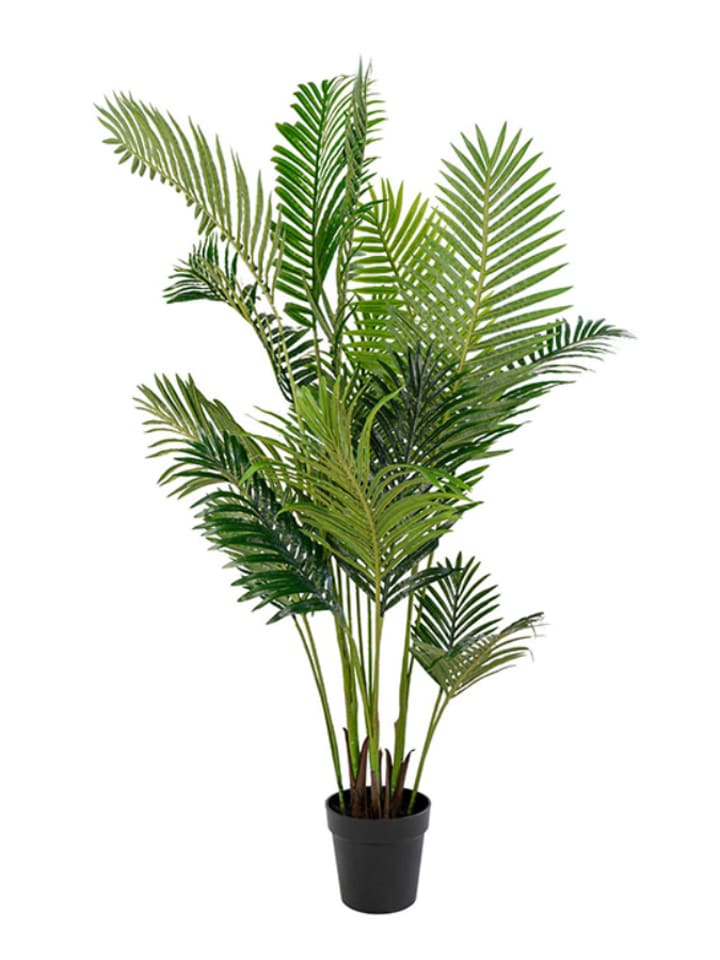 House Nordic Sztuczna roślina "Areca Palm" w kolorze zielonym - wys. 175 cm rozmiar: onesize