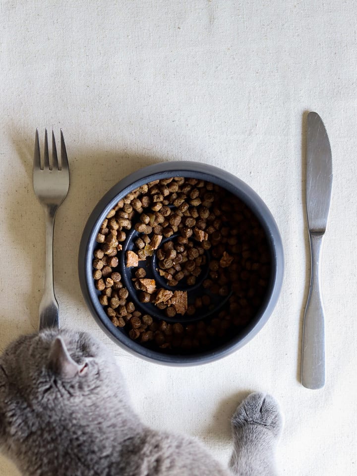 Paws&Whiskers Miska w kolorze czarnym dla zwierząt - wys. 6 x Ø 14 cm rozmiar: onesize