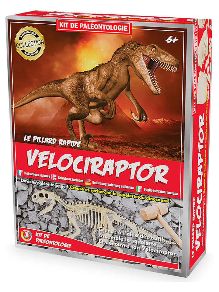 Ulysse Zestaw wykopaliskowy "Velociraptor" - 6+ rozmiar: onesize