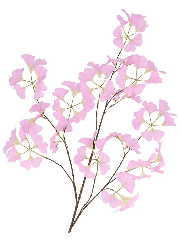 daan kromhout Dekoracyjna gałązka "Ginkgo" w kolorze fioletowo-brązowym - wys. 130 cm rozmiar: onesize