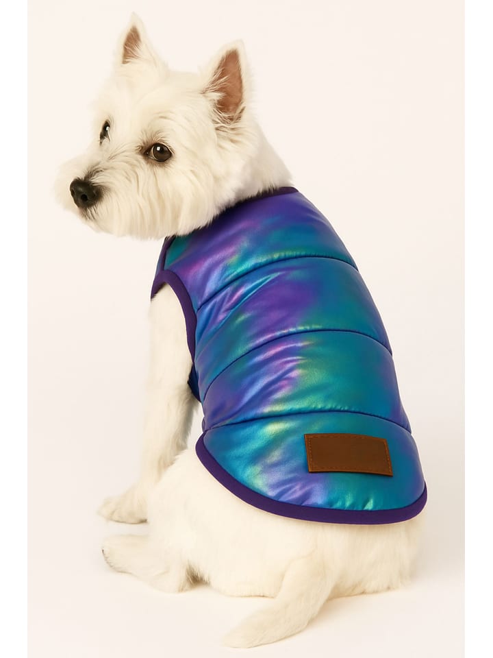 Paws&Whiskers Bluza w kolorze niebiesko-fioletowym dla psa rozmiar: S