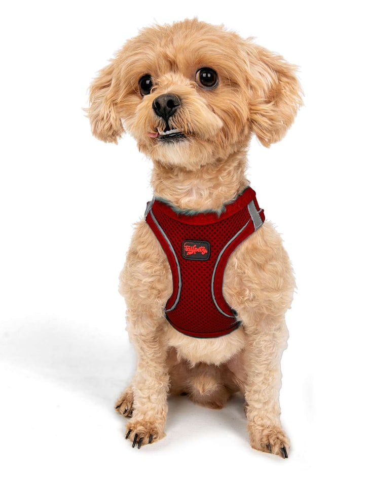 Paws&Whiskers Szelki w kolorze czerwonym dla psa rozmiar: 3XS