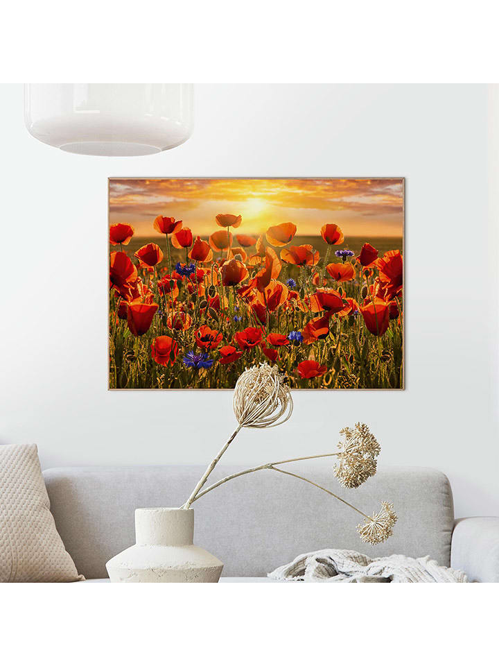 Orangewallz Druk artystyczny "Summer Poppies" w ramce rozmiar: 50x70 cm