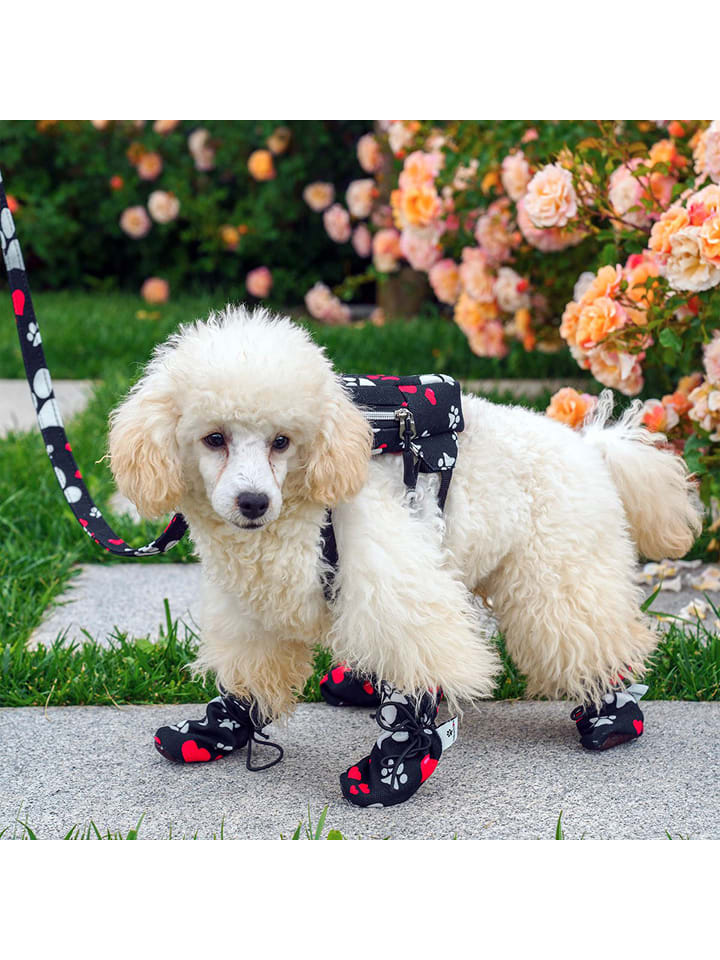 Paws&Whiskers Buty w kolorze czarnym dla psa rozmiar: L/XL