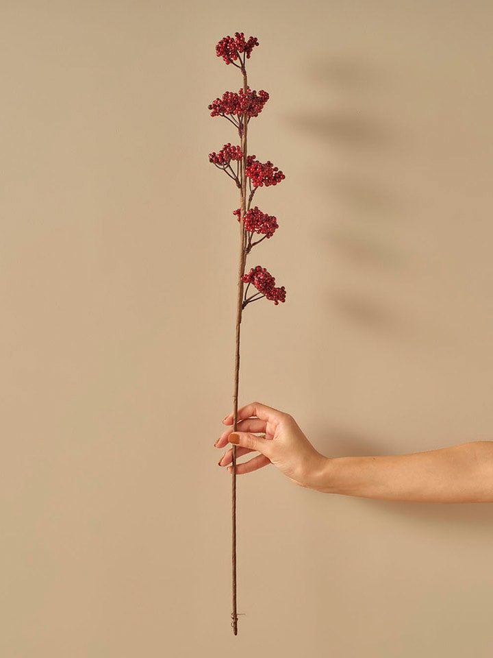 BELLA MAISON Suszona roślina "Christmas Dal" w kolorze czerwonym - dł. 75 cm rozmiar: onesize