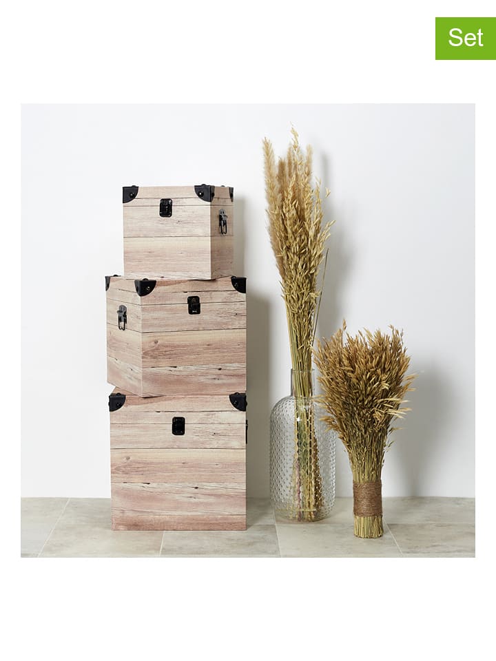 Ethnical Life Skrzynie (3 szt.) w kolorze jasnobrązowym do przechowywania rozmiar: onesize