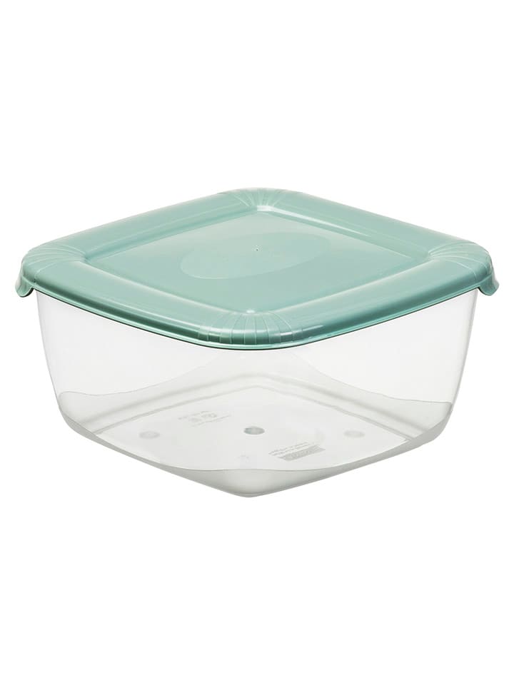 Plast Team Pojemnik w kolorze zielonym - 20 x 9,9 x 20 cm rozmiar: onesize