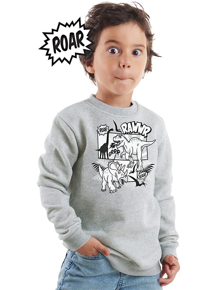 Denokids Bluza w kolorze szarym rozmiar: 128
