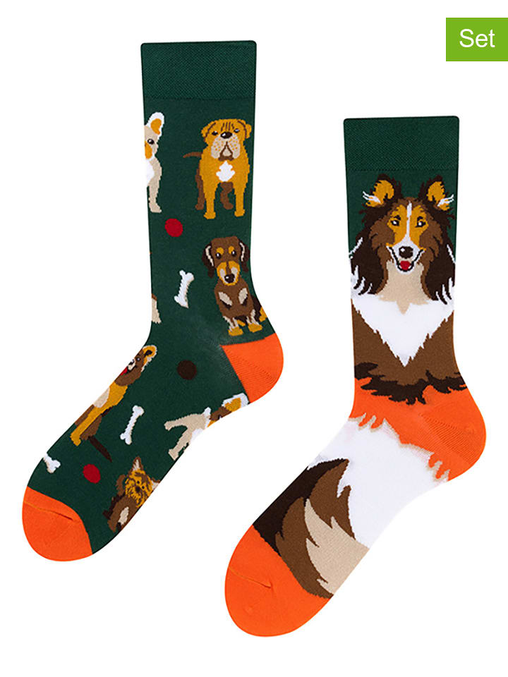 Spox Sox Skarpety (2 pary) w kolorze ciemnozielono-pomarańczowym rozmiar: 40-43