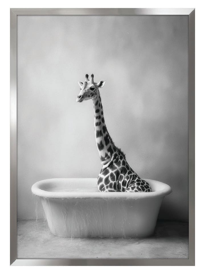 Ars Longa Druk artystyczny "Giraffe In Bath" w ramce - 70 x 50 cm rozmiar: onesize