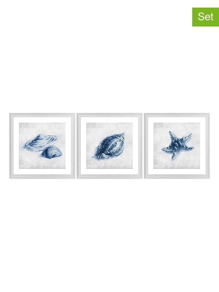 Ars Longa Druki artystyczne (3 szt.) "Blue Shells" w ramce - 70 x 70 cm rozmiar: onesize