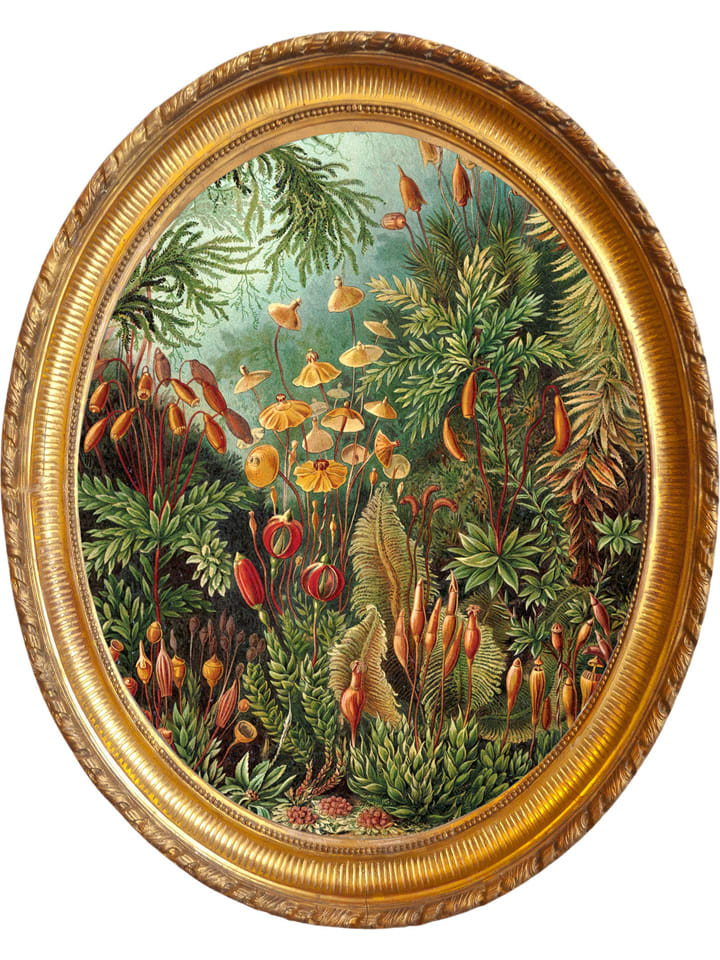 Madre Selva Dekoracja ścienna "Deep Forest" - 50 x 40 cm rozmiar: onesize