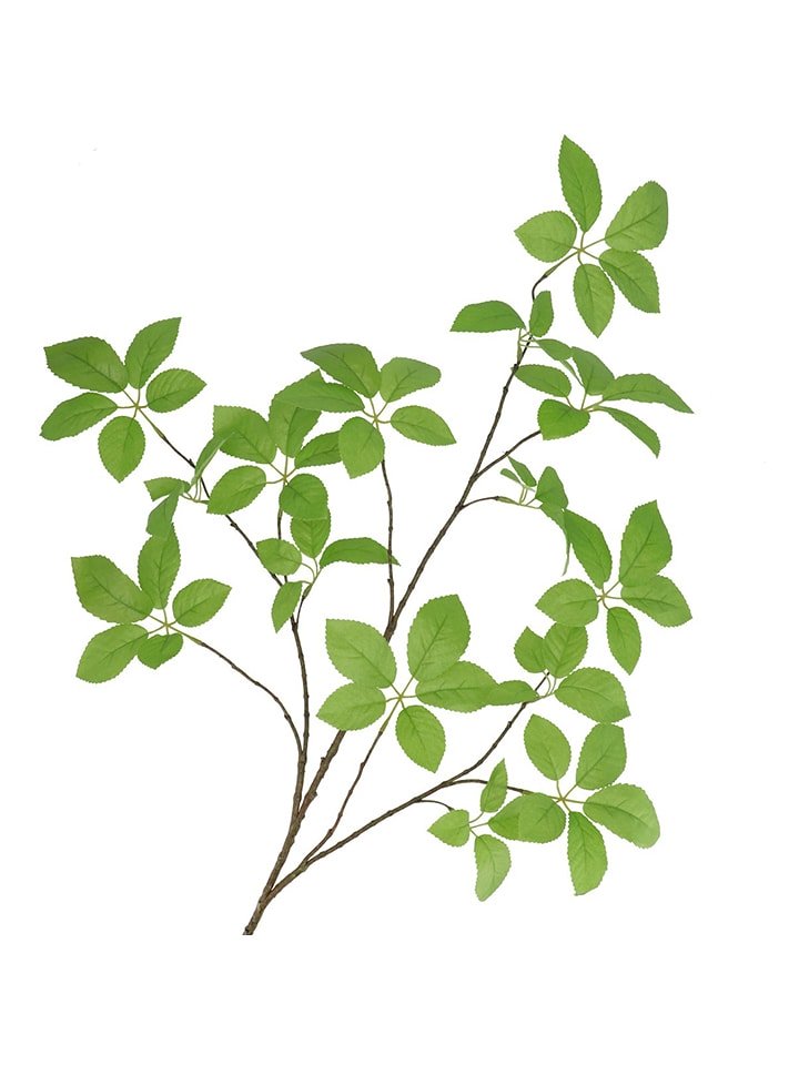 daan kromhout Dekoracyjna gałązka "Leaf Elder" w kolorze zielono-brązowym - wys. 124 cm rozmiar: onesize