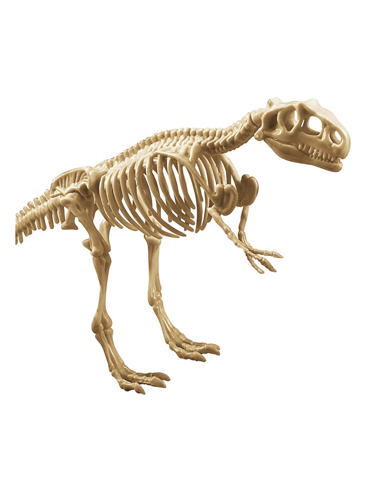 Explora Zestaw do eksperymentów archeologicznych - 5+ rozmiar: onesize