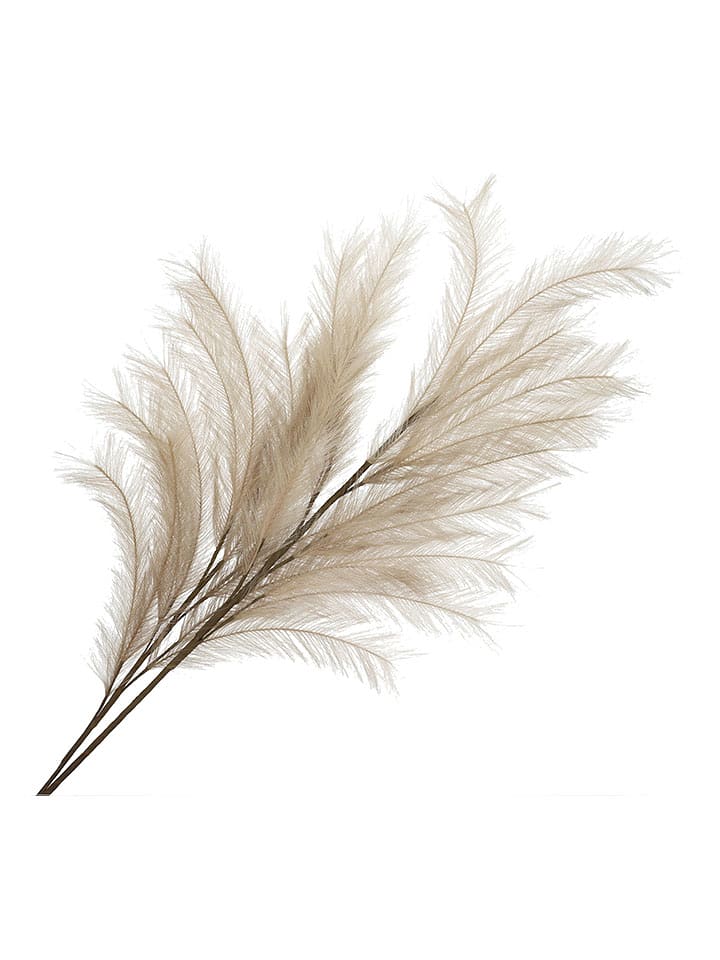 Homla Dekoracyjna gałązka "Canne" w kolorze beżowym - dł. 100 cm rozmiar: onesize