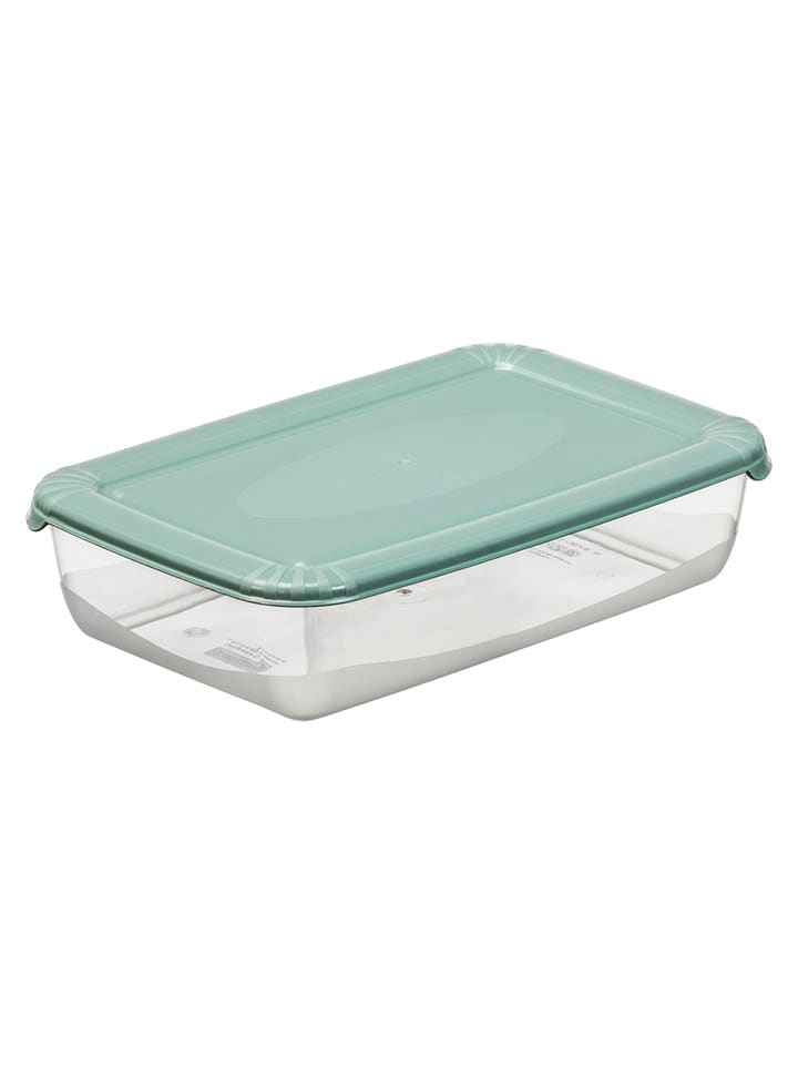 Plast Team Pojemniki w kolorze zielonym - 16,5 x 4 x 10,8 cm rozmiar: onesize