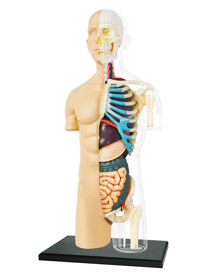 MGM 37-częściowy zestaw naukowy - 8+ rozmiar: onesize