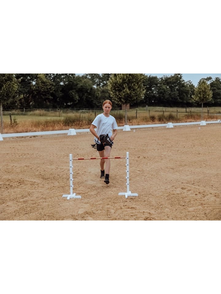 ASTRUP Przeszkoda do hobby horsingu - 3+ rozmiar: onesize